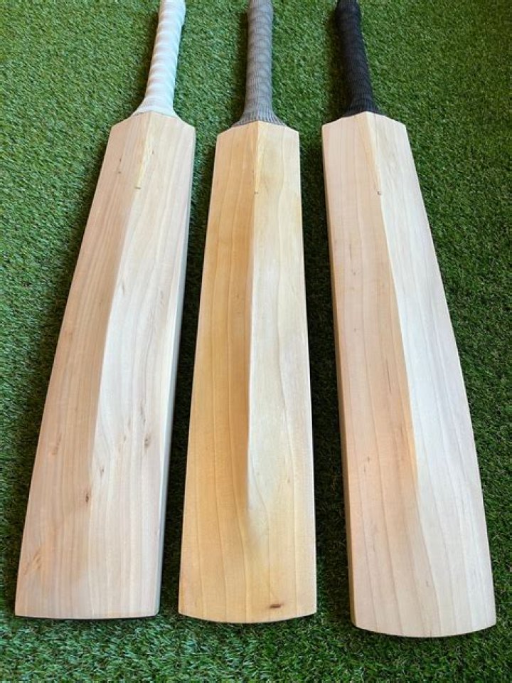 Are all cricket bats made from willow?