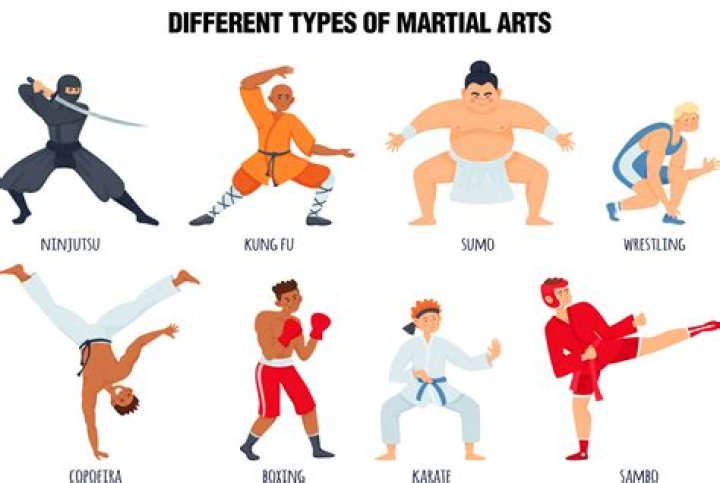 Are martial arts all the same?