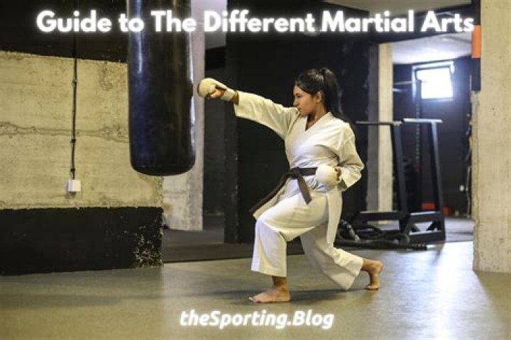 Are you an athlete if you do martial arts?