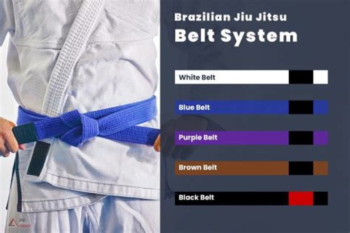 At what belt can you teach BJJ?
