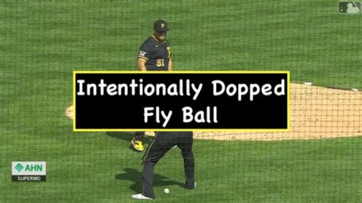 Can a fielder intentionally drop a ball?
