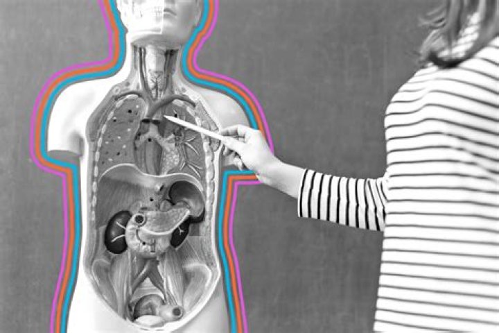 Can a goalie body check?