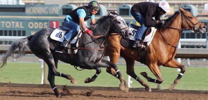 Can a jockey own a racehorse?