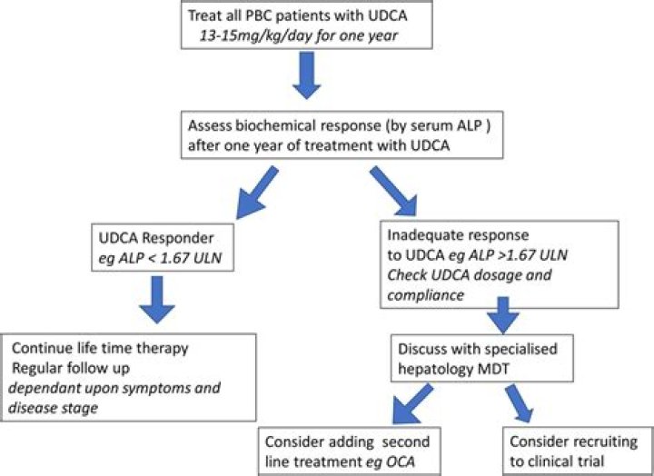 Can polymyalgia go into remission?