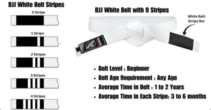 Can white belts compete in BJJ?