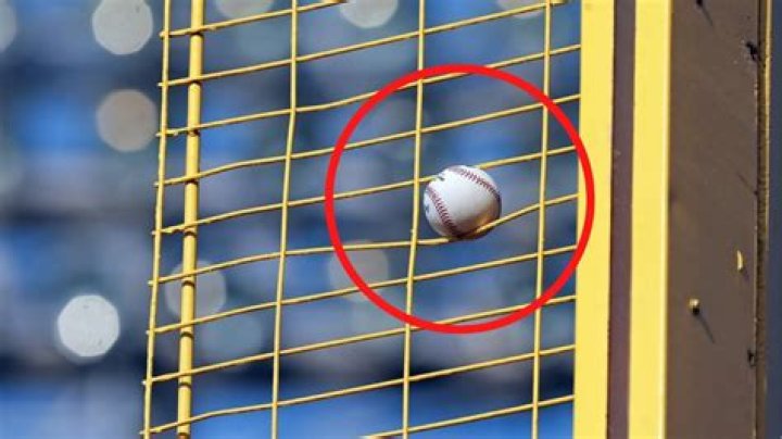 Can you catch a foul ball off the fence?
