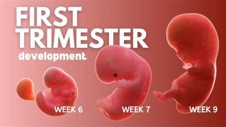 Can you skate in your first trimester?