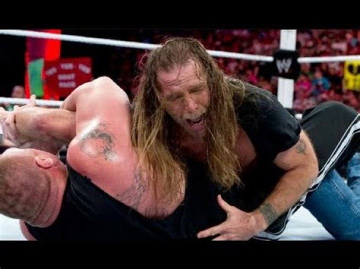 Did Brock Lesnar broke Shawn Michaels arm?