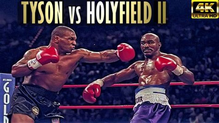 Did Lewis fight Holyfield?