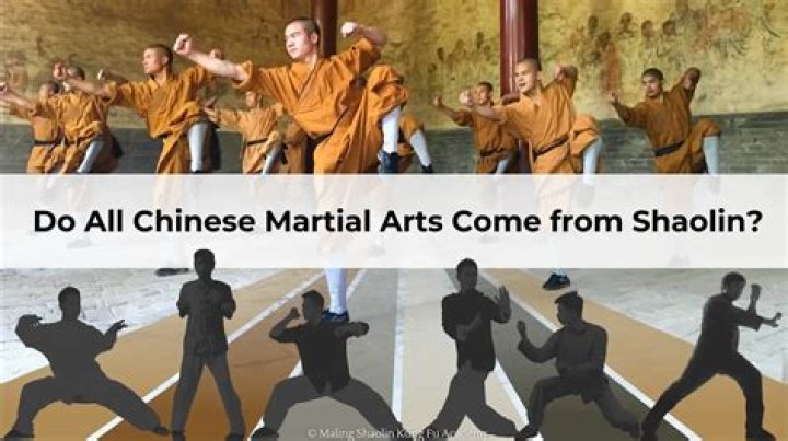 Did martial arts come from India?