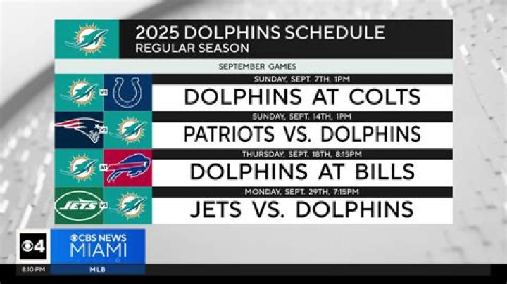 Did the Dolphins go 0 16?
