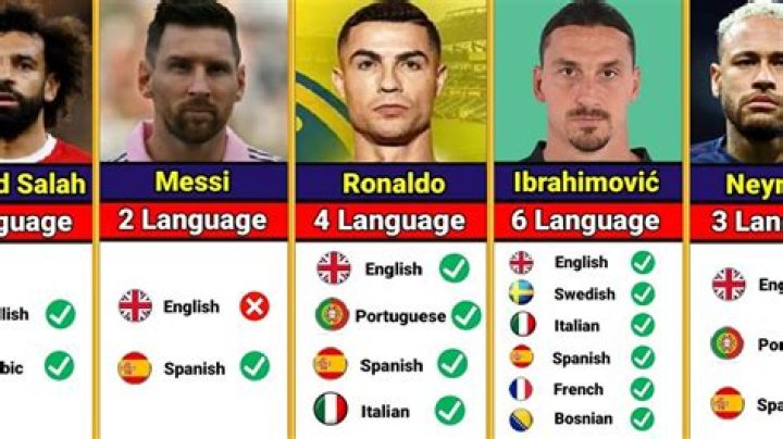 Do European soccer referees speak multiple languages?