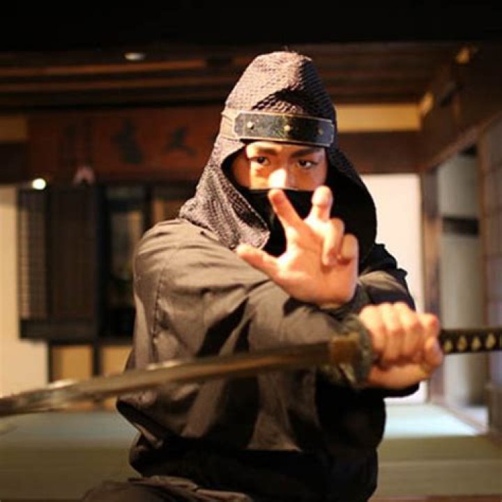 Do ninjas still exist?