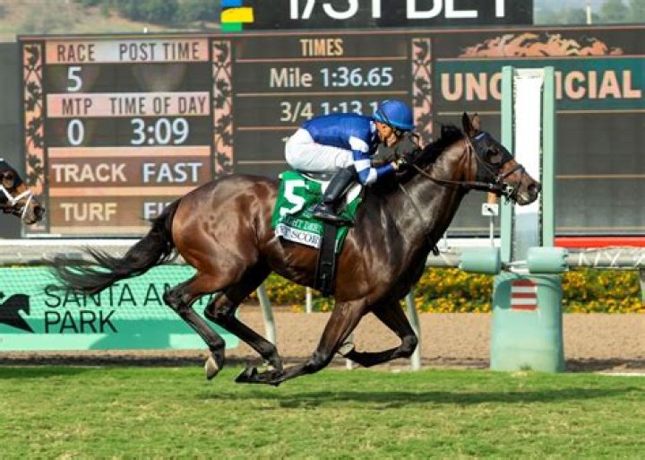 Do props score tries?