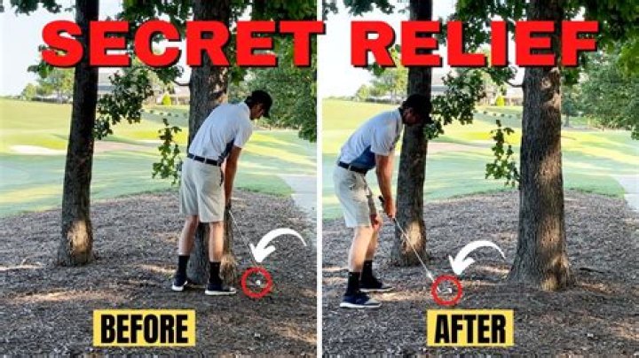 Do you get free relief from a tree in golf?