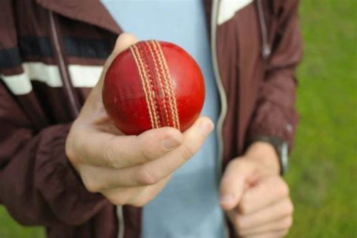 Does a cricket ball hurt?