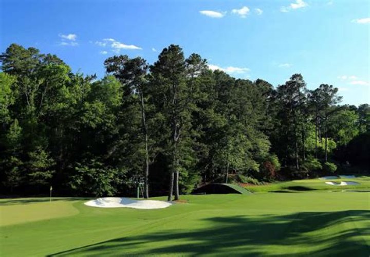 Does Augusta National Paint grass?