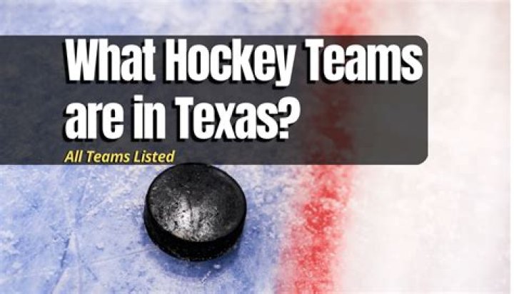 Does Houston have a NHL team?