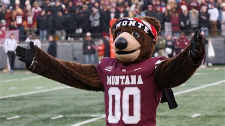 Does Montana have an NHL team?