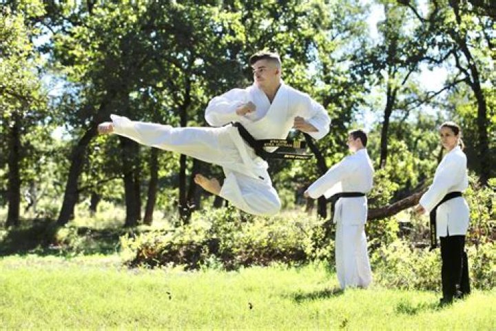 Does Ryan Phillippe know martial arts?