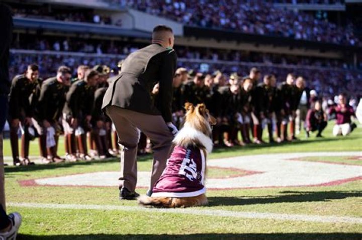 Has any pitcher ever thrown two no-hitters in a row?