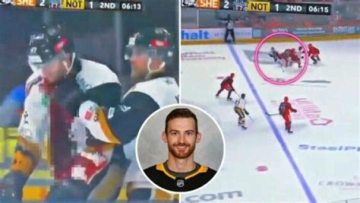 Has anyone died in the NHL during a game?