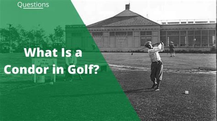 Has anyone shot a condor in golf?