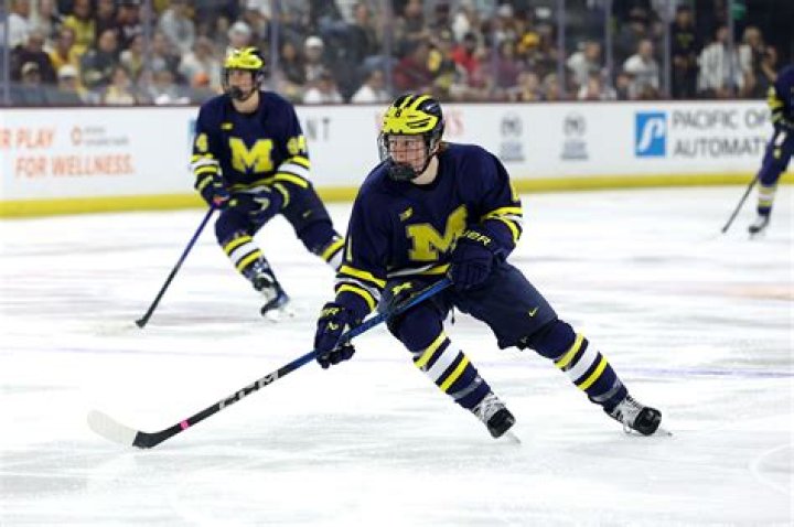 How did the Michigan hockey move get its name?