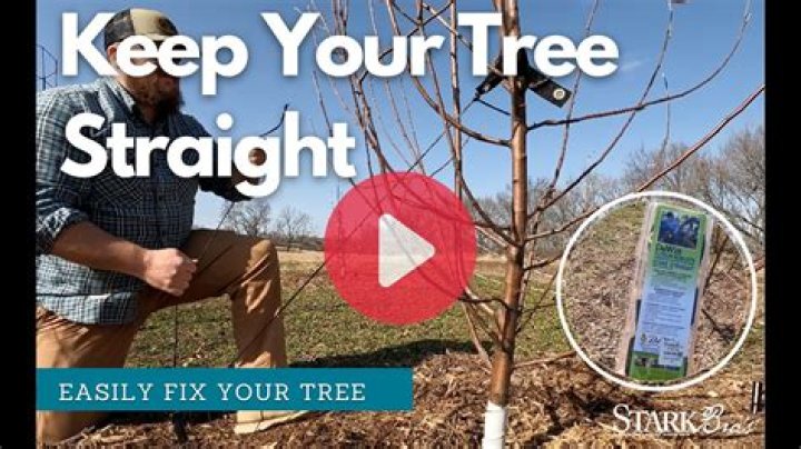 How do I train like Shaq?