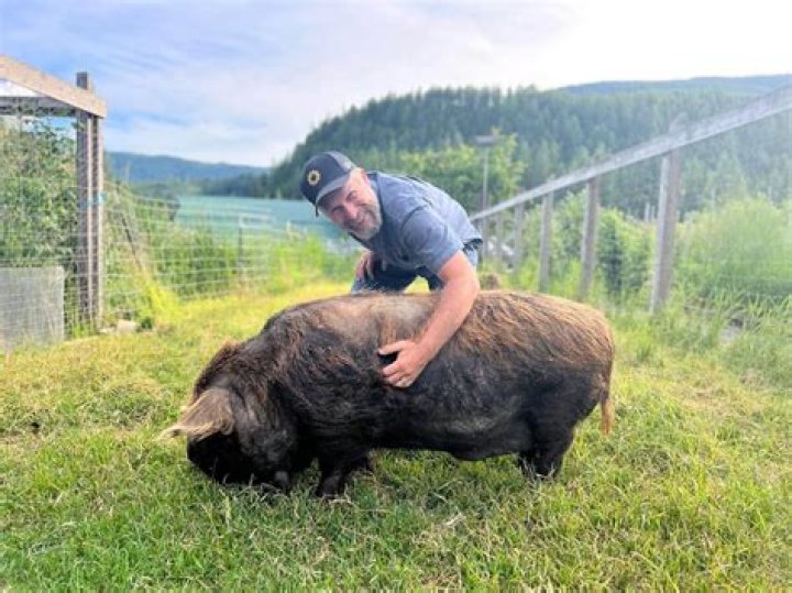 How expensive is it to play hockey?