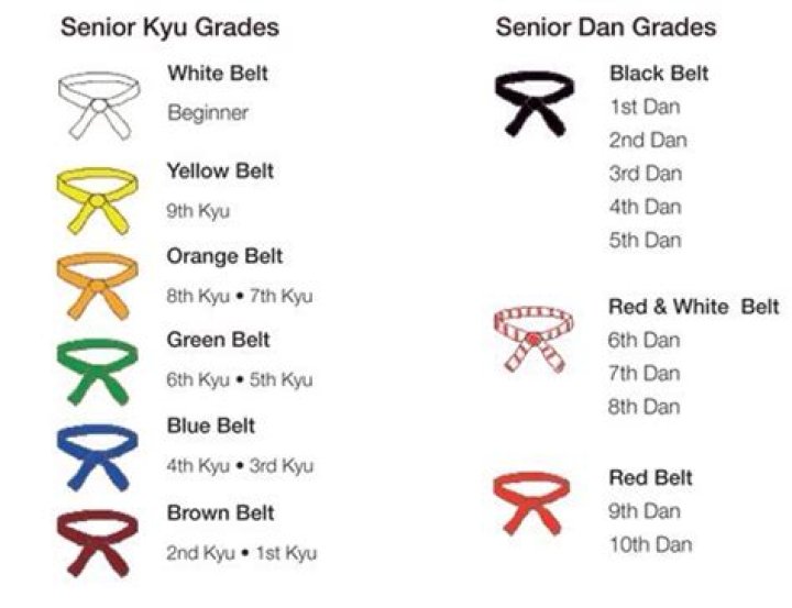 How many 10th dan black belts are there in judo?