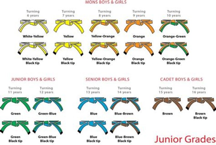 How many 10th dan judo are there?