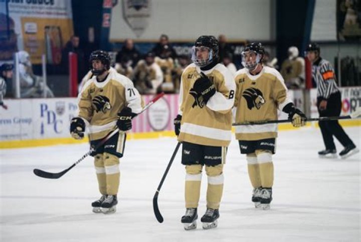 How many ACHA hockey teams are there?