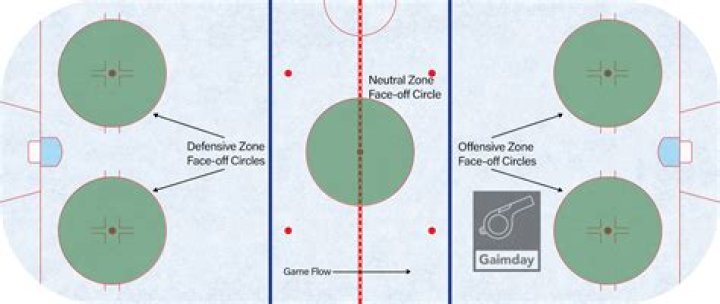 How many circles are on a hockey rink?