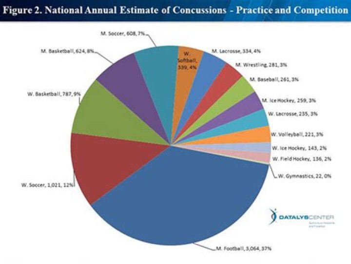 How many concussions happen in UFC?