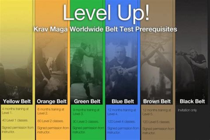 How many degrees of black belt are there in Krav Maga?