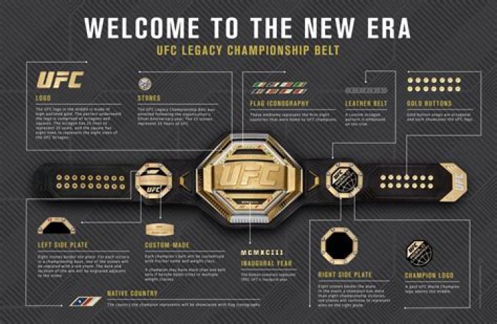 How many rubies are on a UFC belt?