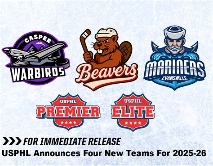 How many teams are in the Usphl?