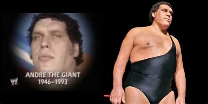 How many times has Andre the Giant been body slammed?
