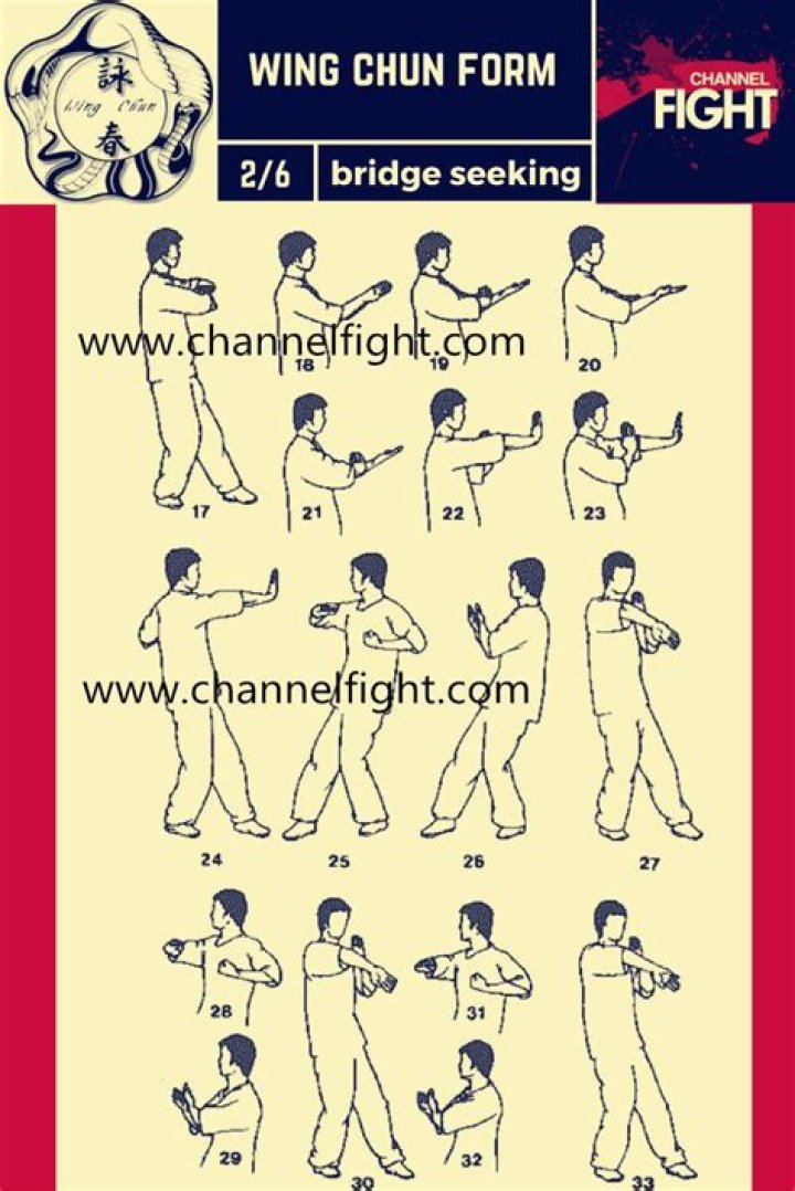 How many types of Wing Chun are there?