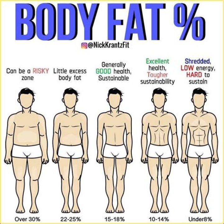 How much body fat does a gymnast have?