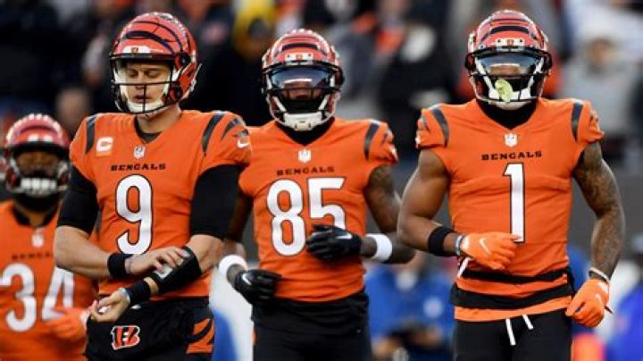 How much did the Brown family pay for the Bengals?