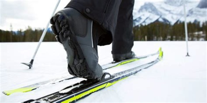 How much do Nordic skis cost?