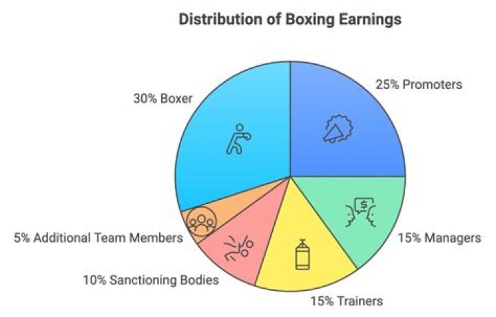 How much do pro boxers make?
