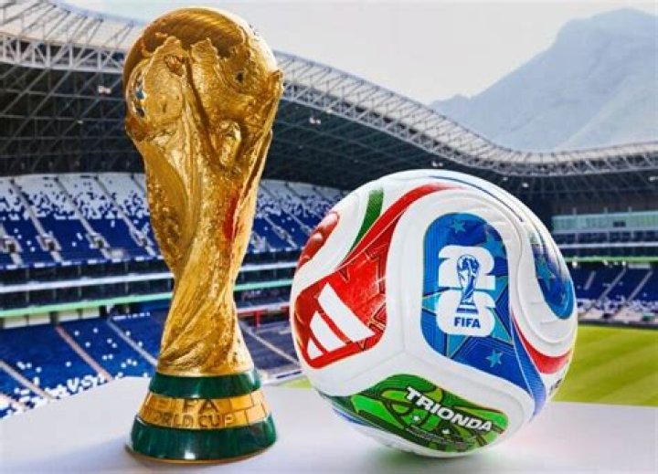 How much does a 2018 World Cup ball cost?