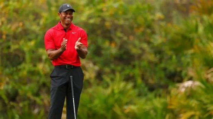 How much does Tiger Woods make a year?