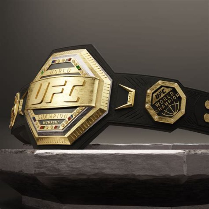 How much is the UFC belt worth?