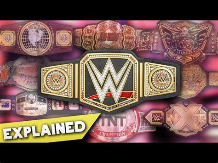 How much is the WWE title belt worth?