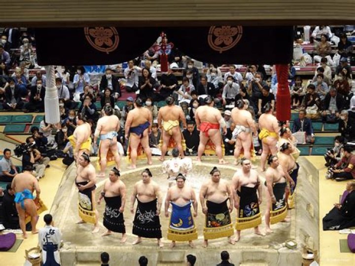 How popular is sumo in Japan?