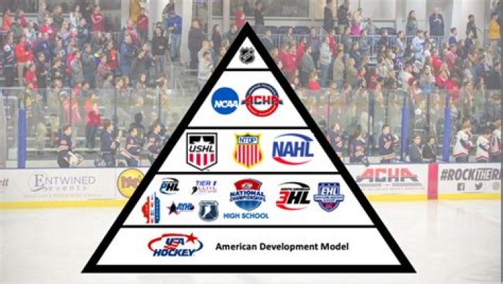 Is AHL higher than ECHL?